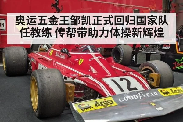 奥运五金王邹凯正式回归国家队任教练 传帮带助力体操新辉煌